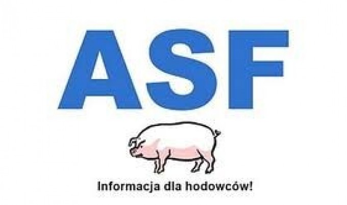 Uwaga hodowcy świń! Zagrożenie wirusem ASF