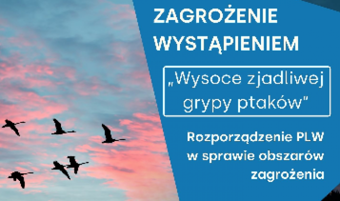 Wysoce zjadliwa grypa ptaków