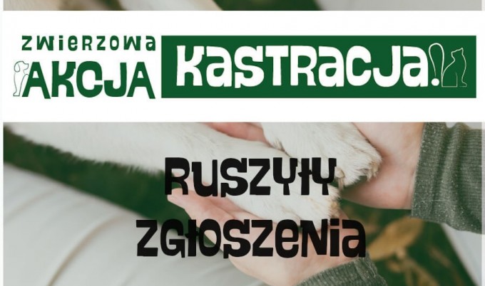 Akcja Kastracja zwierząt właścicielskich rozpoczęta