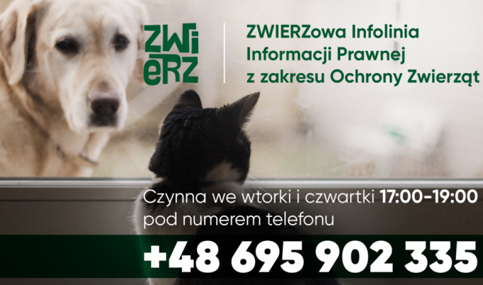 ZWIERZowa Infolinia Bezpłatnej Informacji Prawnej z Zakresu Ochrony Zwierząt